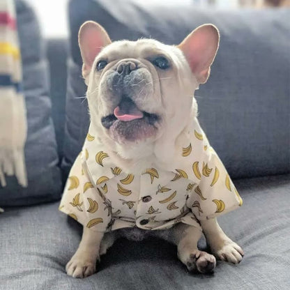frenchie space shop sunsea french bulldog shirt
