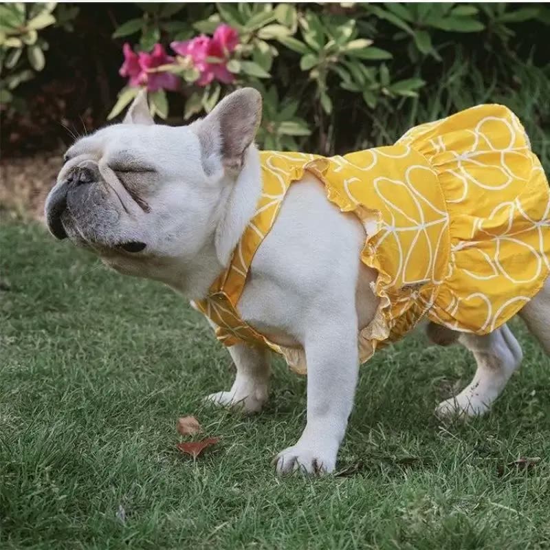 frenchie space shop sunny french bulldog dress