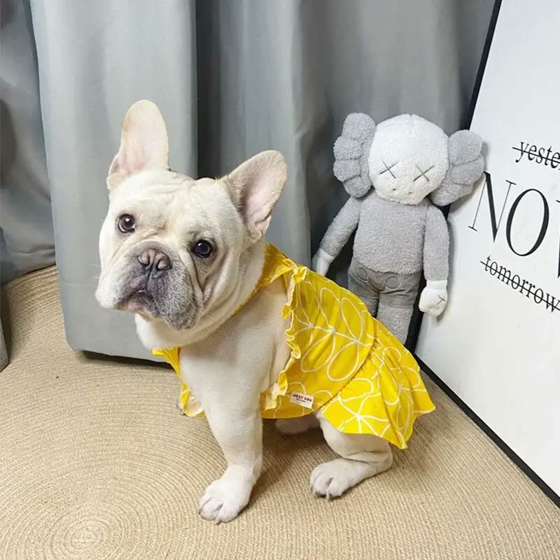 frenchie space shop sunny french bulldog dress