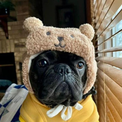 teddy french bulldog hat