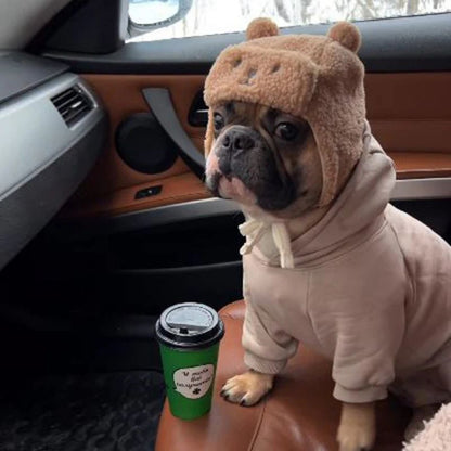 teddy french bulldog hat