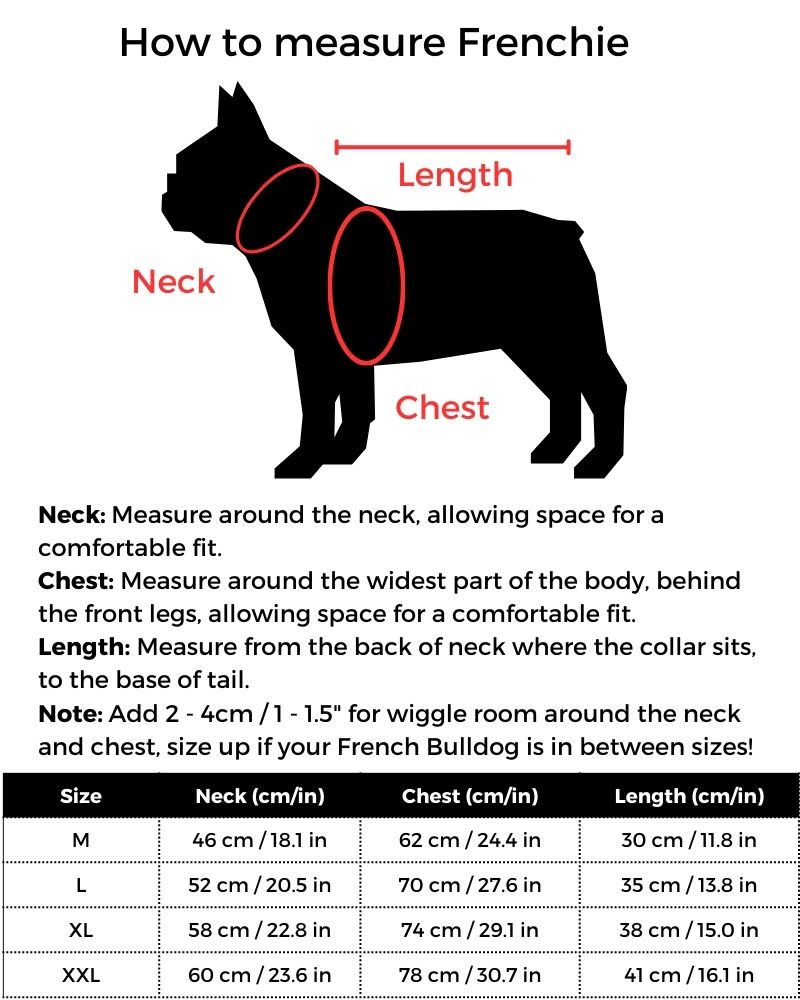 Teddy French Bulldog Jacket size guide