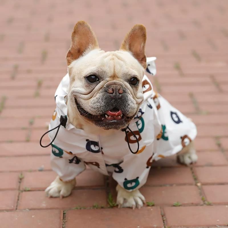 frenchie space shop teddy french bulldog windbreaker