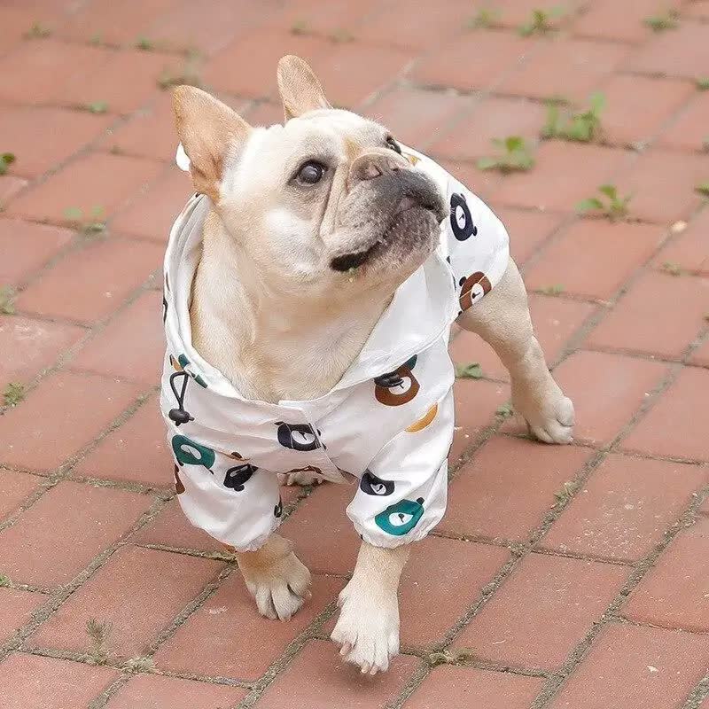 frenchie space shop teddy french bulldog windbreaker