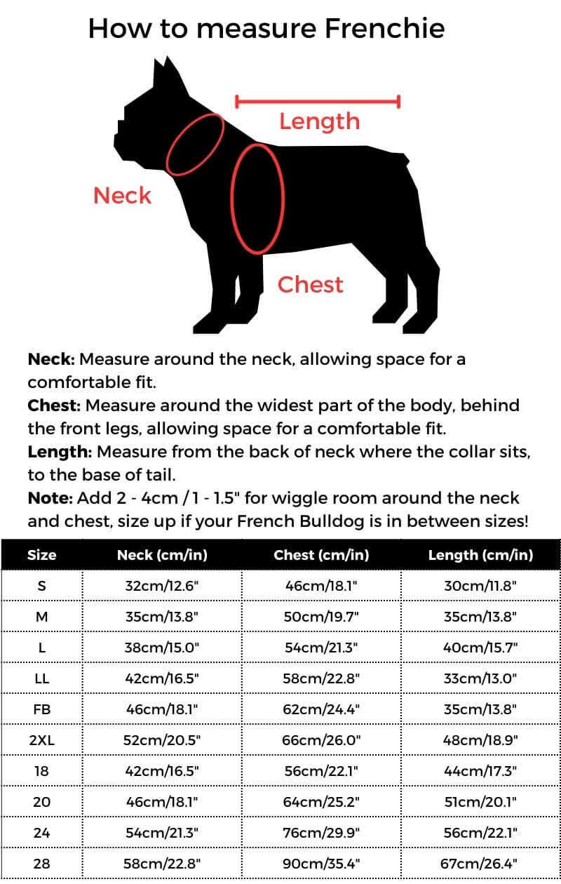 Teddy French Bulldog Windbreaker size guide