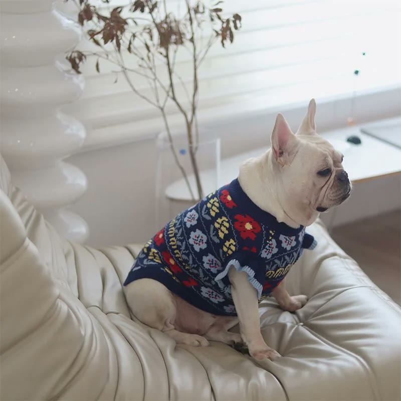 frenchie space shop traditionalvibes french bulldog sweater