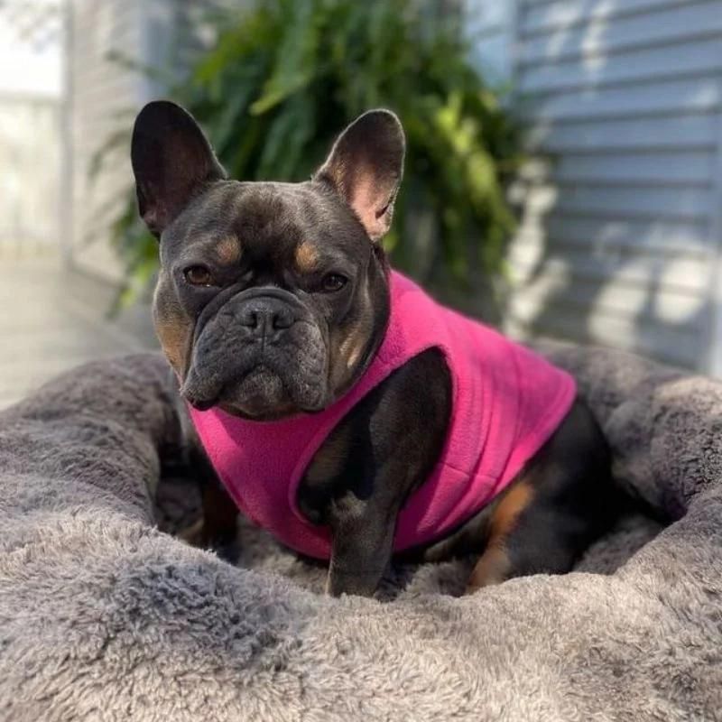 frenchie space shop winter fleece frenchie vest