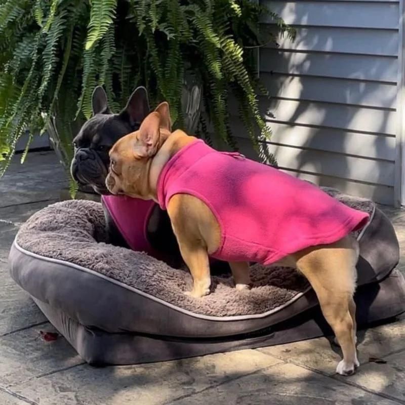frenchie space shop winter fleece frenchie vest