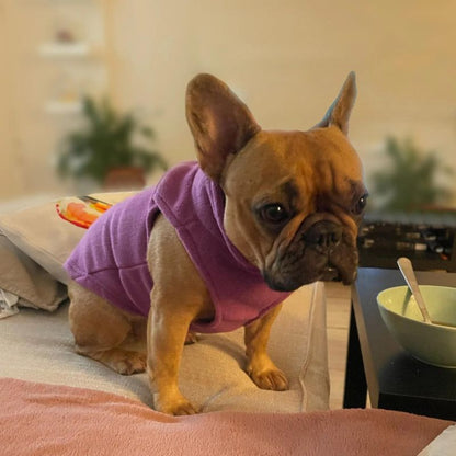 frenchie space shop winter fleece frenchie vest