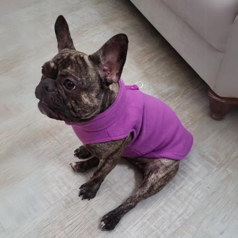 frenchie space shop winter fleece frenchie vest