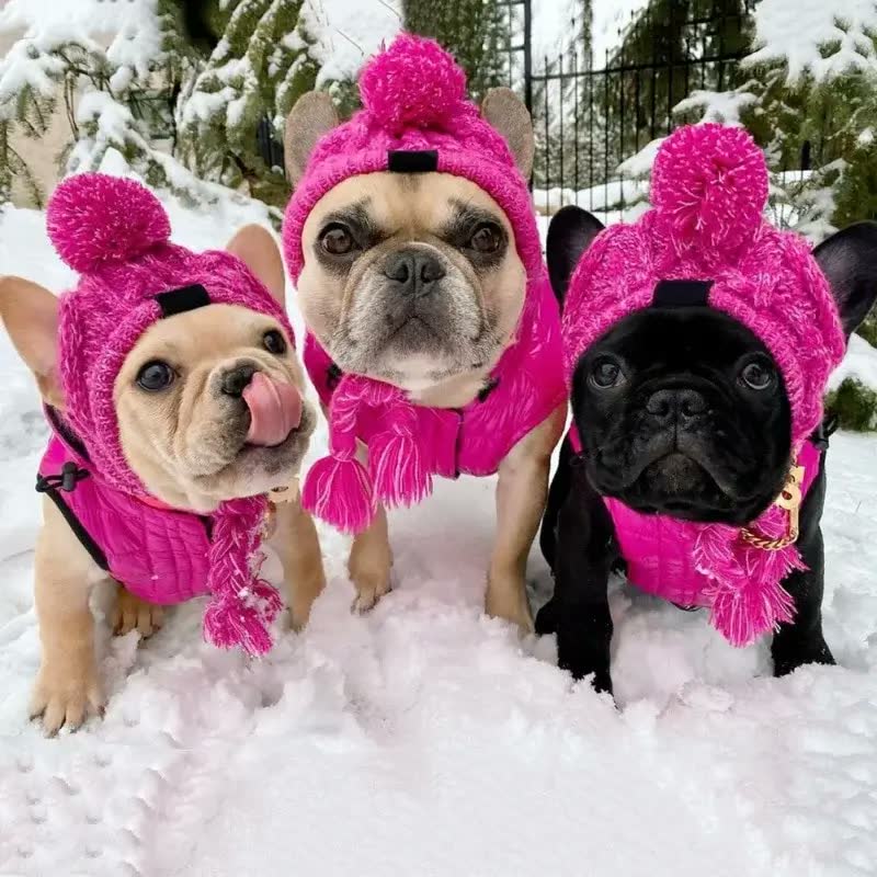 frenchie space shop winter french bulldog beanie