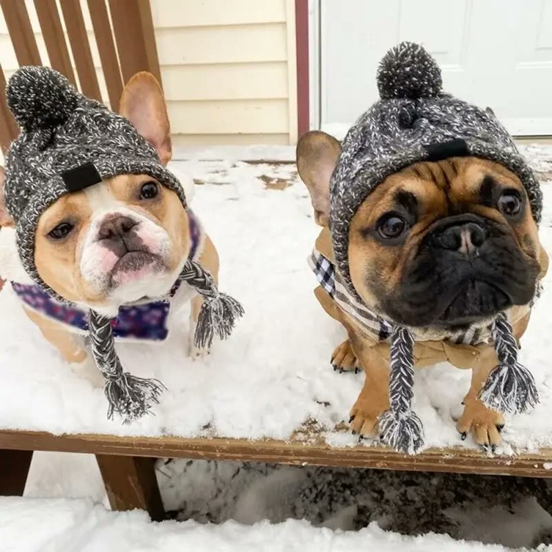 frenchie space shop winter french bulldog beanie