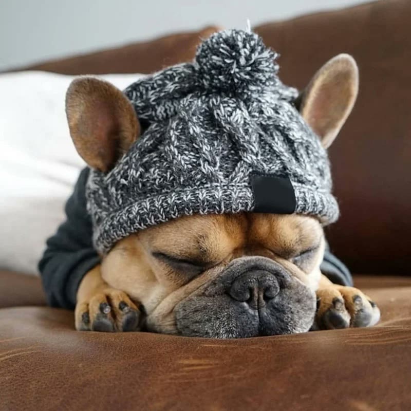 frenchie space shop winter french bulldog beanie