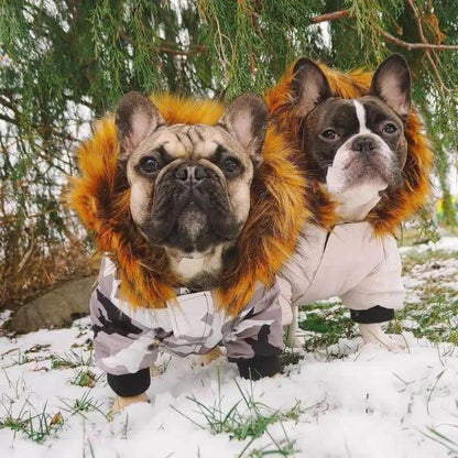 frenchie space shop winter parka french bulldog jacket
