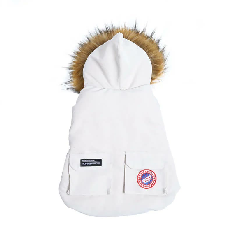 frenchie space shop winter parka french bulldog jacket