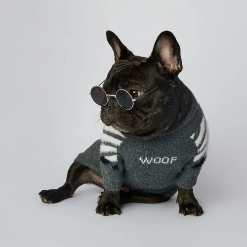 frenchie space shop woof french bulldog sweater