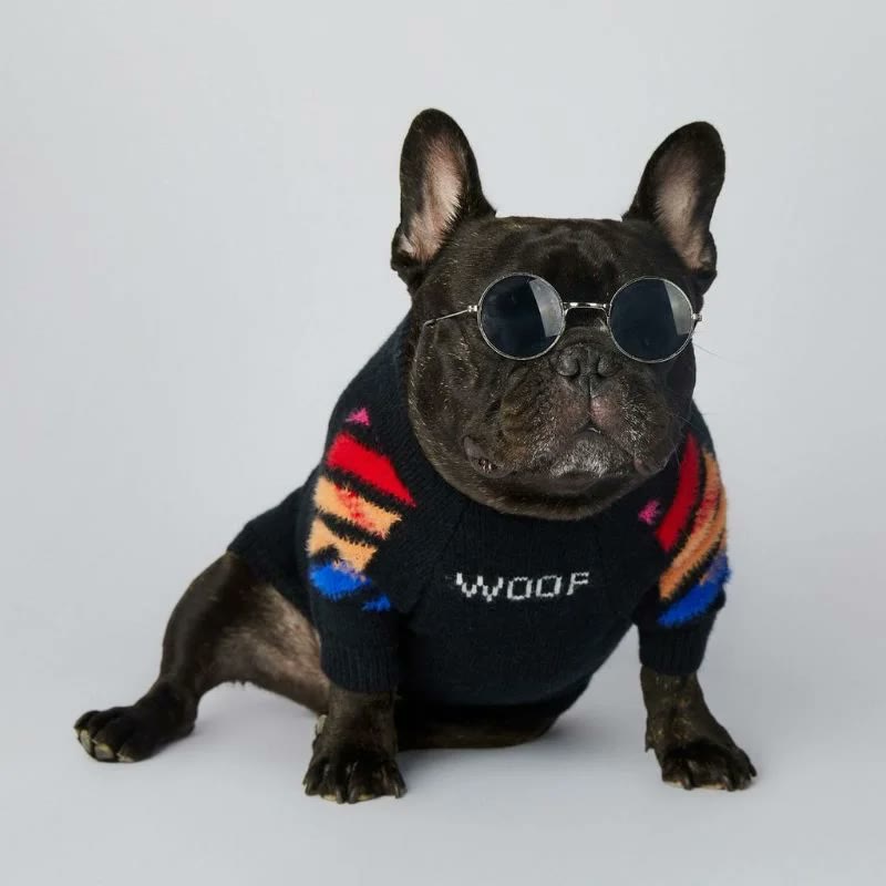 frenchie space shop woof french bulldog sweater