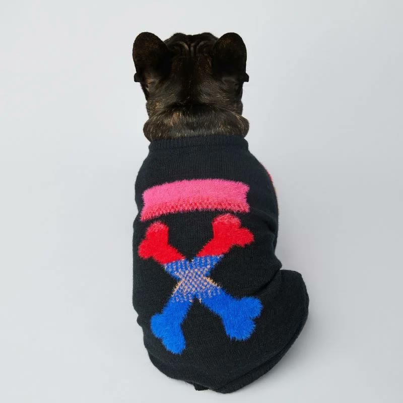 frenchie space shop woof french bulldog sweater