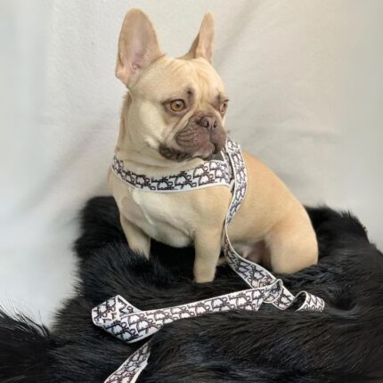 frenchie space shop designer french bulldog harness