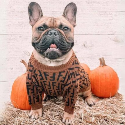 frenchie space shop frendi french bulldog sweater
