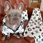 frenchie space shop lv french bulldog set