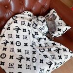 frenchie space shop lv french bulldog set