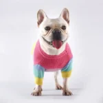 frenchie space shop multicolor french bulldog sweater