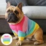 frenchie space shop multicolor french bulldog sweater