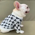 frenchie space shop ny french bulldog sweater