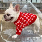 frenchie space shop ny french bulldog sweater