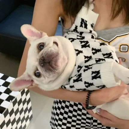 frenchie space shop ny french bulldog sweater