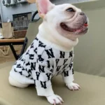frenchie space shop ny french bulldog sweater