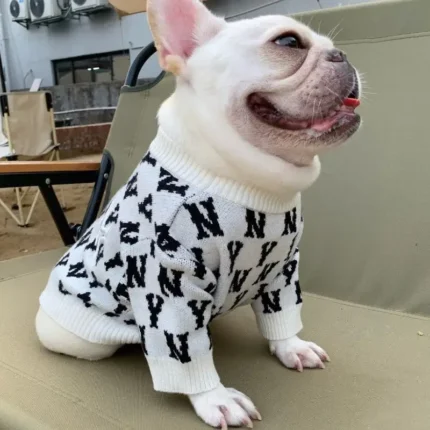 frenchie space shop ny french bulldog sweater