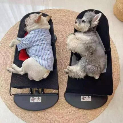 frenchie space shop portable rocking frenchie chair