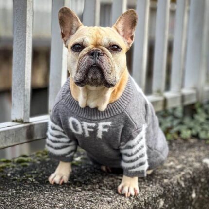 frenchie space shop silvervibe french bulldog sweater