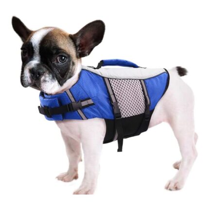 frenchie space shop sporty french bulldog life vest