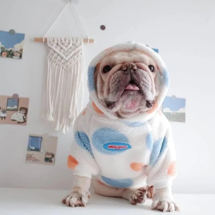 frenchie space shop 7th heaven frenchie hoodie