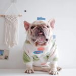 frenchie space shop 7th heaven frenchie hoodie