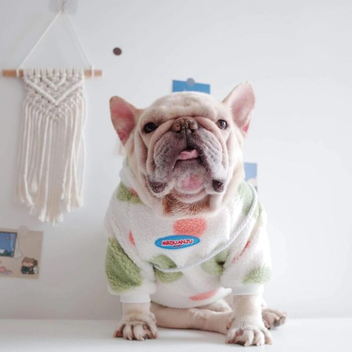 frenchie space shop 7th heaven frenchie hoodie