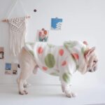 frenchie space shop 7th heaven frenchie hoodie