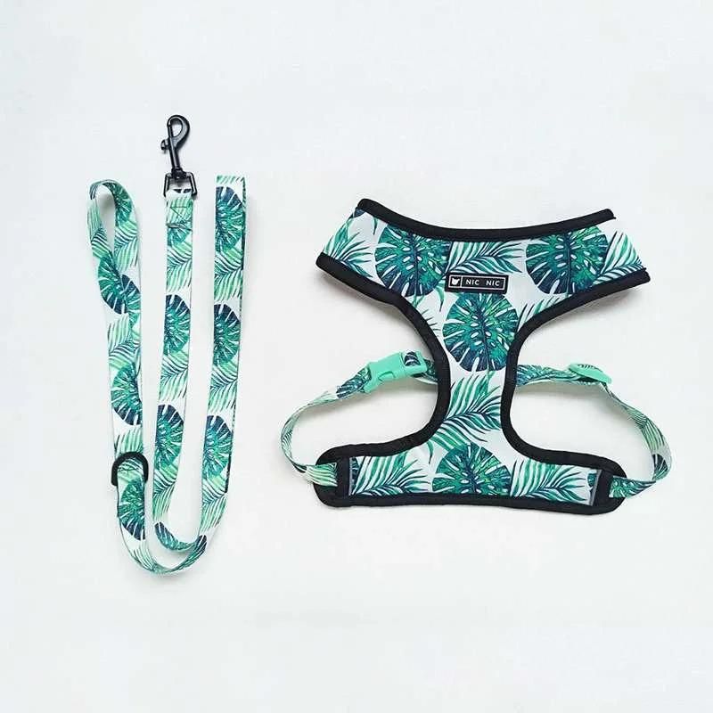 frenchie space shop amazonianvibes frenchie harness
