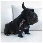frenchie space shop badside french bulldog hoodie