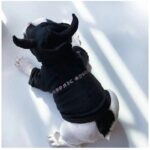 frenchie space shop badside french bulldog hoodie