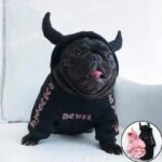 frenchie space shop badside french bulldog hoodie