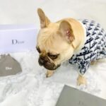 frenchie space shop bark-a-la mode frenchie sweater