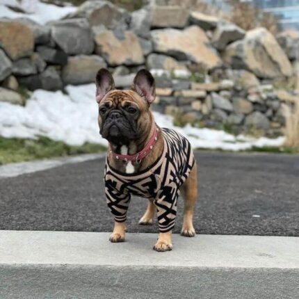 frenchie space shop bark-n-blendi french bulldog sweater
