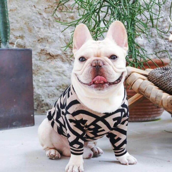frenchie space shop bark-n-blendi french bulldog sweater