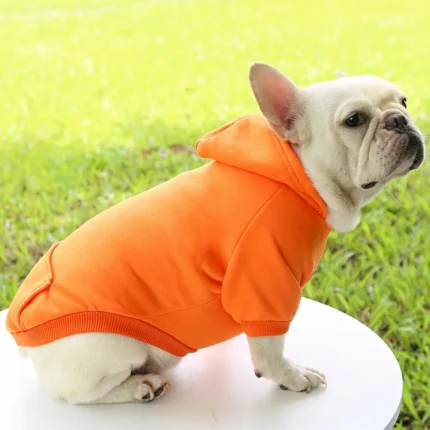 frenchie space shop basic french bulldog hoodie