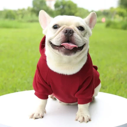 frenchie space shop basic french bulldog hoodie