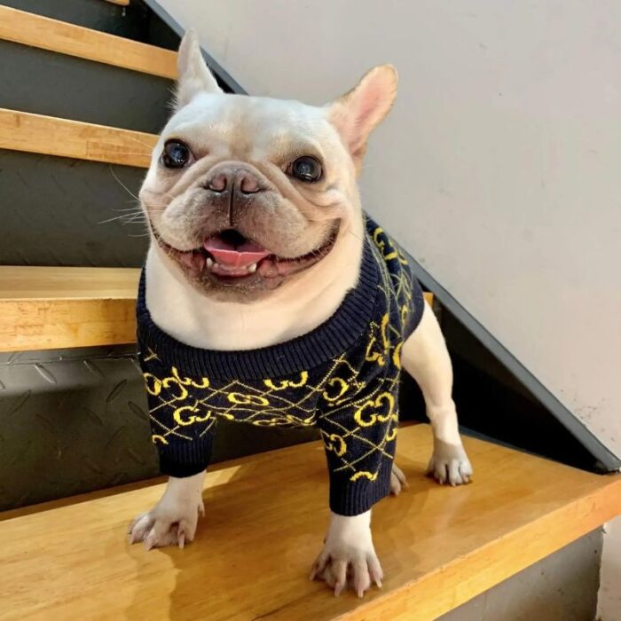 frenchie space shop black elegance frenchie sweater